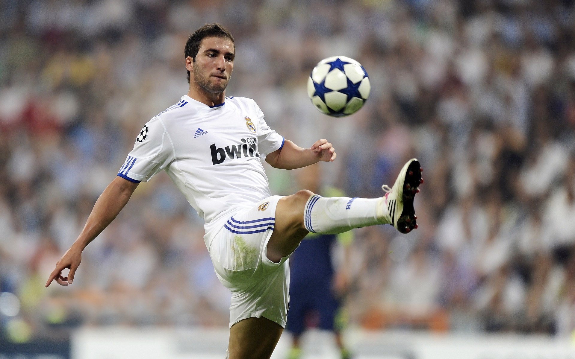 巴西大名单换血引爆热议，新生代球员能否抓住机遇